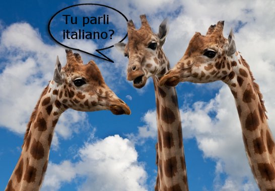 Italian speaking practice