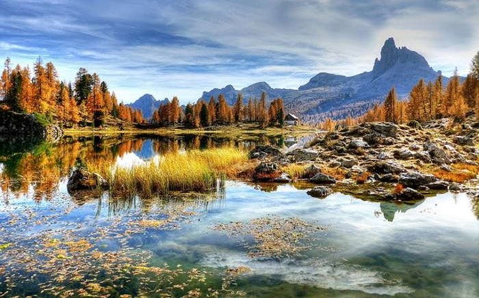 Forest-bathing-in-Italy