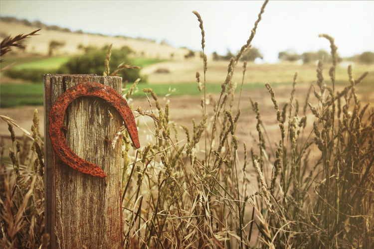 Italian ways to ward off bad luck